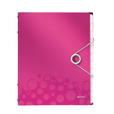 Divider book: 6 tabs PP Leitz WOW, pink
